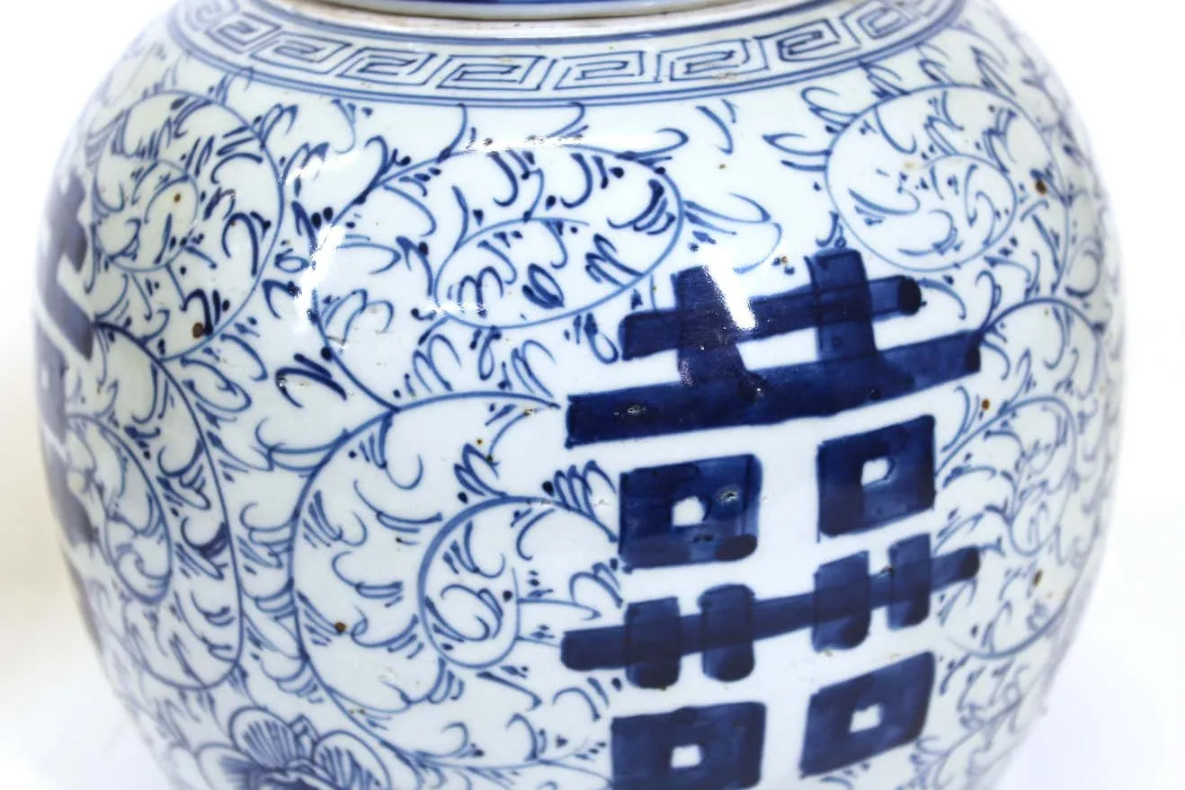 Chinese Blue and White Ceramic Ginger Jar