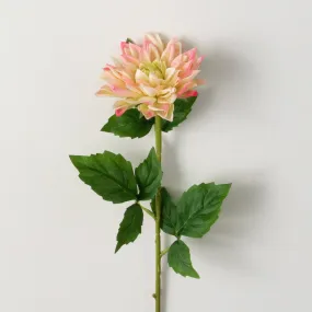 Freshcut Light Peach Dahlia S