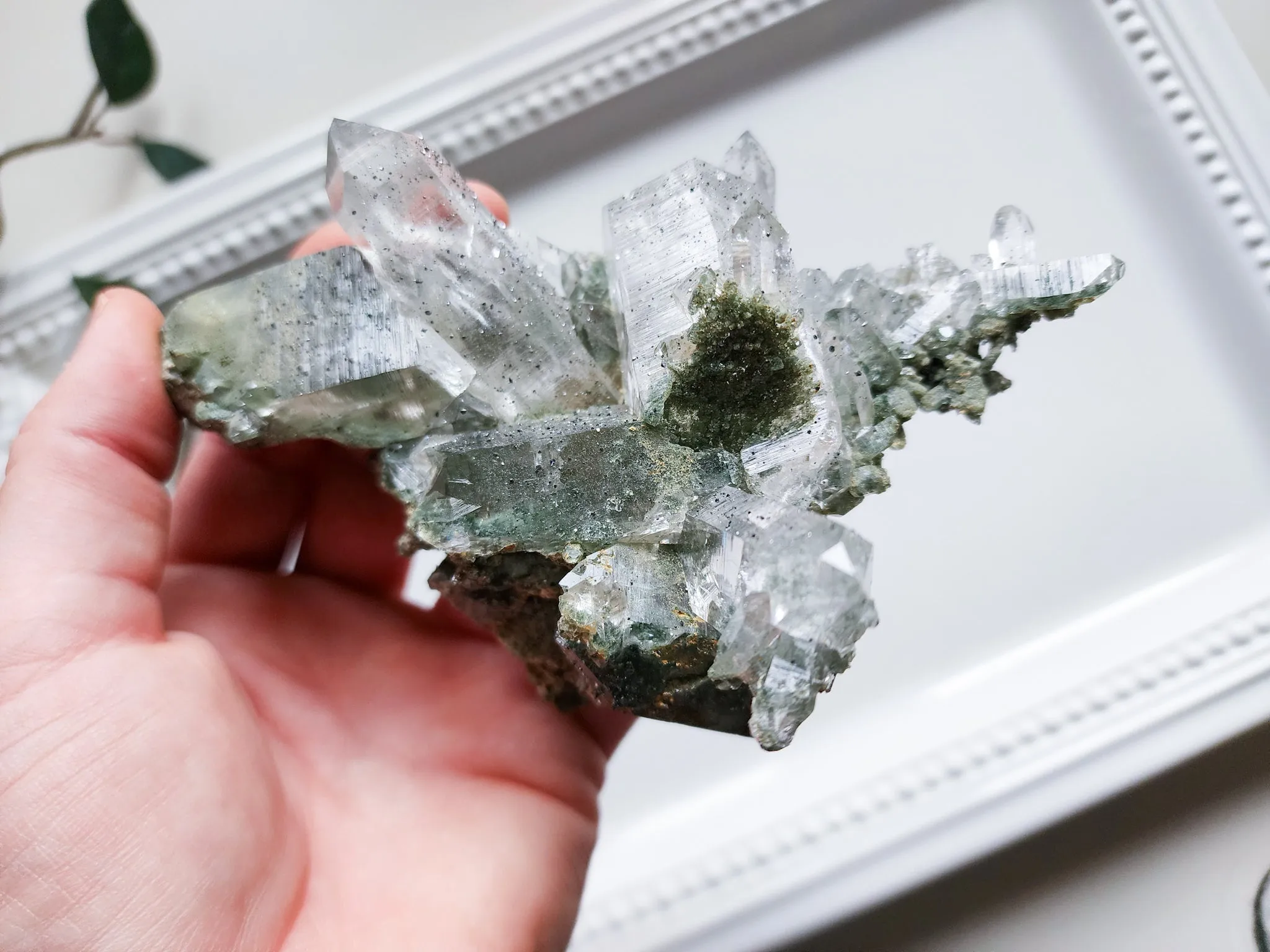 Himalayan Cathedral Quartz with Chlorite Rutile & Anatase || Rare