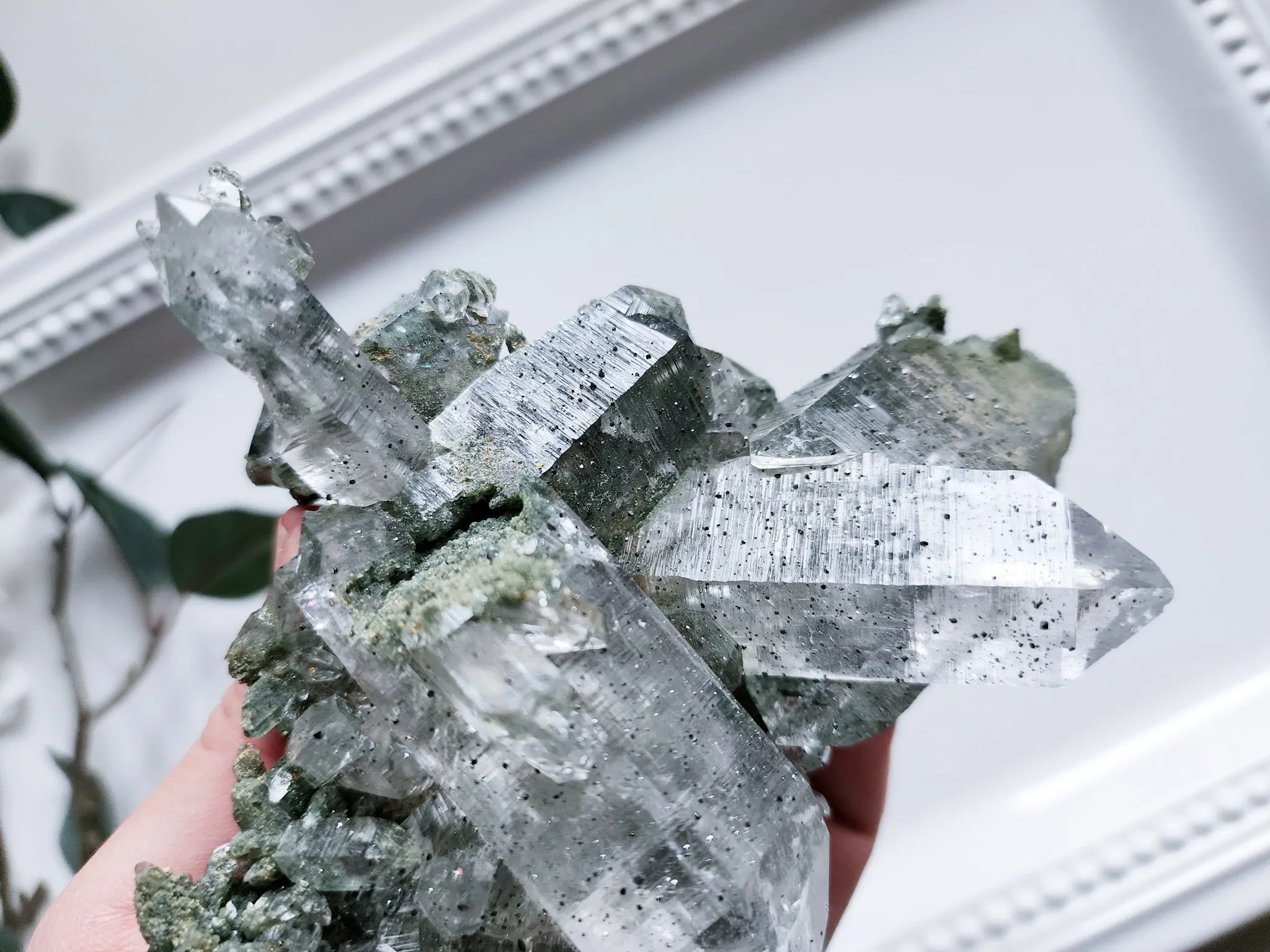 Himalayan Cathedral Quartz with Chlorite Rutile & Anatase || Rare