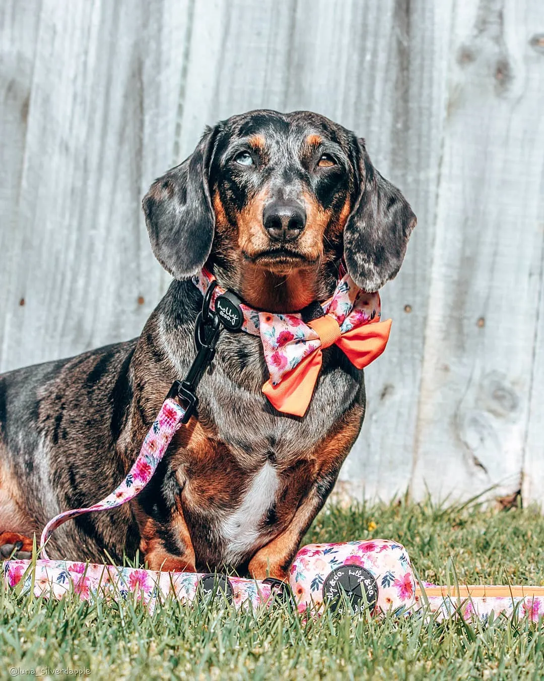 Sailor Bow Tie // Sweet Coraline